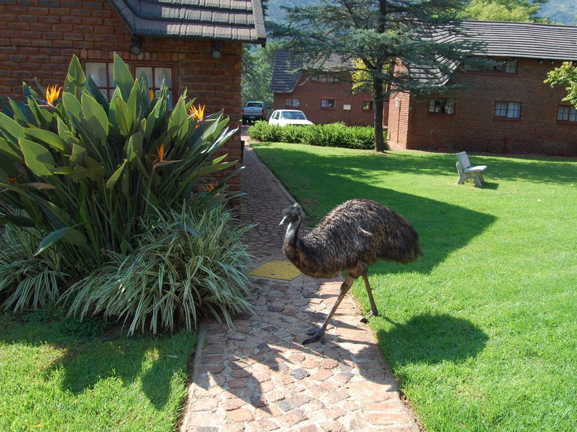 Mount Amanzi Hotel Hartbeespoort Exterior foto